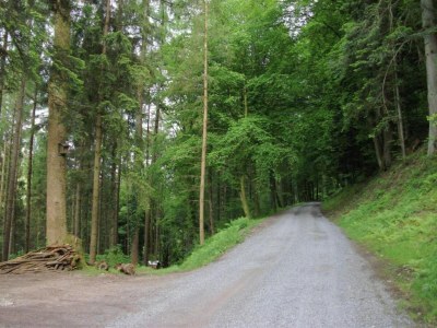 Farmhouse Gemütliche Ferienwohnung im Schwarzwald - Environment photo 41