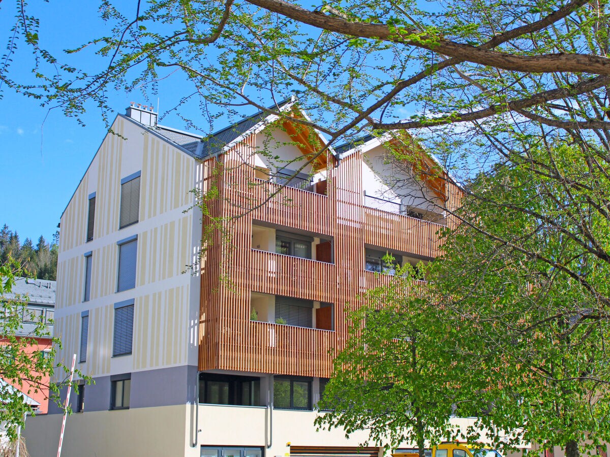 Holiday apartment Narzisse Bad Aussee - Outdoor photo 3