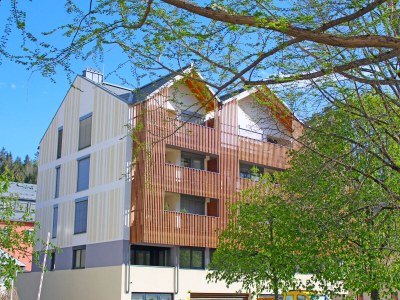 Holiday apartment Narzisse Bad Aussee - Outdoor photo 3