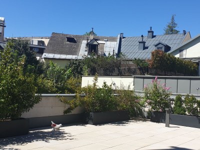 Holiday apartment Narzisse Bad Aussee - Features photo 13