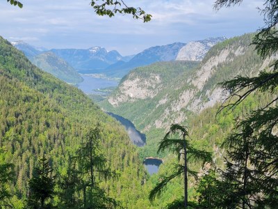 Holiday apartment Narzisse Bad Aussee - Environment photo 17