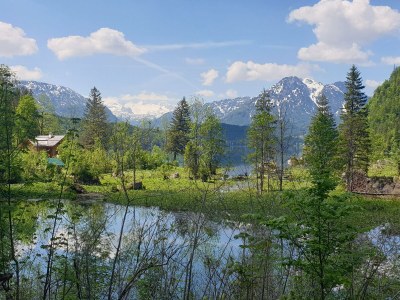 Holiday apartment Narzisse Bad Aussee - Environment photo 18