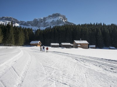 Holiday apartment Narzisse Bad Aussee - Environment photo 23