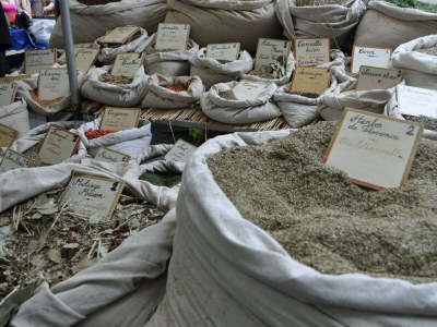 Villa ARTS & FLORES - Environment photo 32