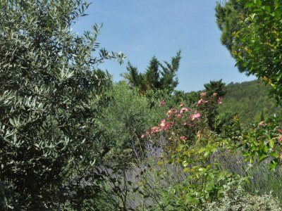 Villa ARTS & FLORES - Outdoor photo 34