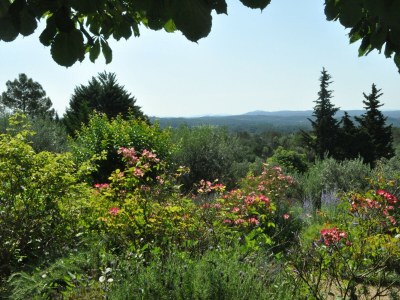 Villa ARTS & FLORES - Outdoor photo 35