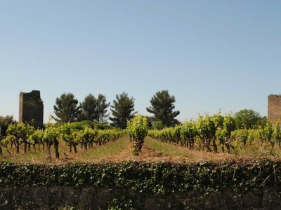 Holiday house CLOS DES CHENES - Environment photo 23