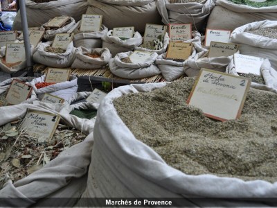 Holiday house MAS DU PERIGOULIER - Environment photo 20