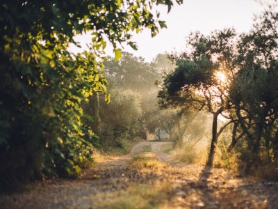 Holiday house MAS DU PERIGOULIER - Outdoor photo 23