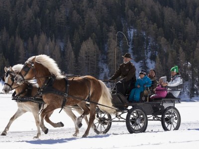 Holiday house No title - Environment photo 25