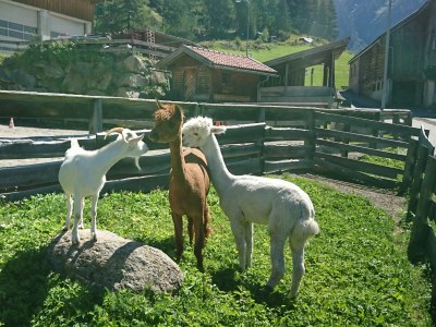 Holiday house No title - Environment photo 29