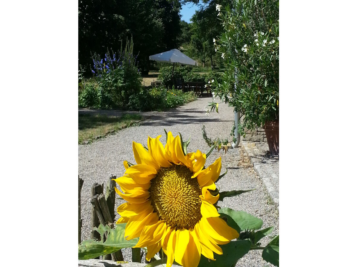 Holiday apartment Atelier Hellersmühle - Outdoor photo 4