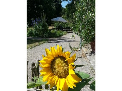 Holiday apartment Atelier Hellersmühle - Outdoor photo 4