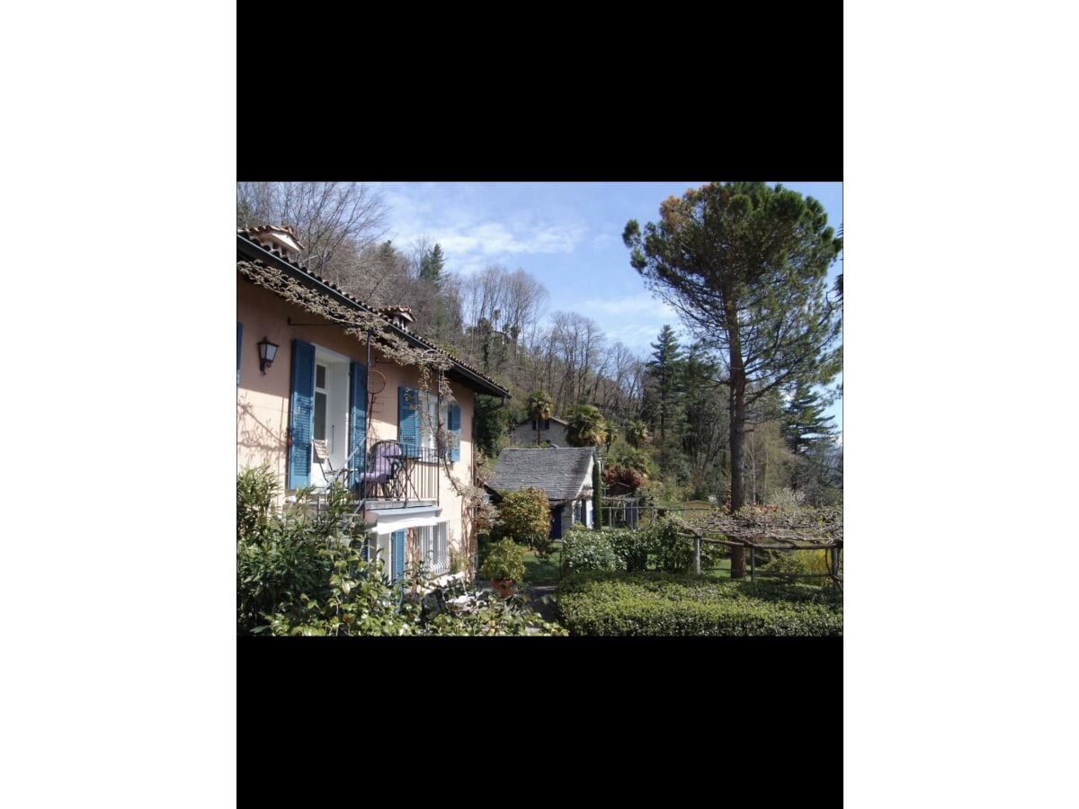 Holiday apartment Mimosa in a natural paradise above Lake Maggiore