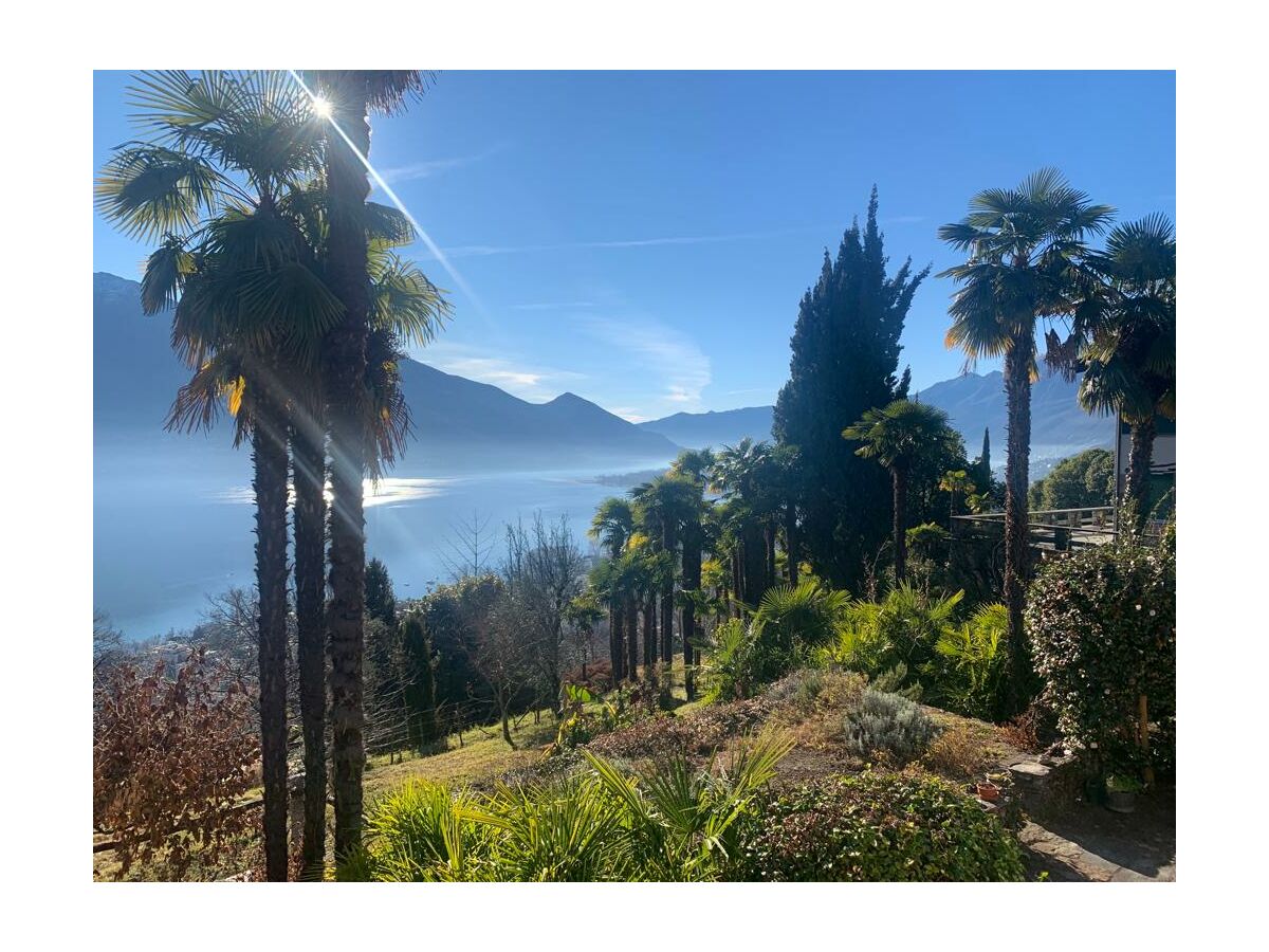 Holiday apartment Mimosa in a natural paradise above Lake Maggiore - Outdoor photo 2