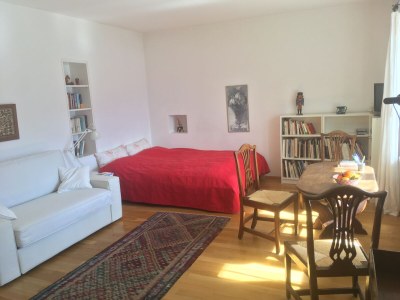 Holiday apartment Mimosa in a natural paradise above Lake Maggiore - Features photo 9