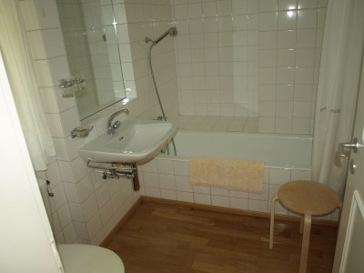 Holiday apartment Mimosa in a natural paradise above Lake Maggiore - Features photo 12