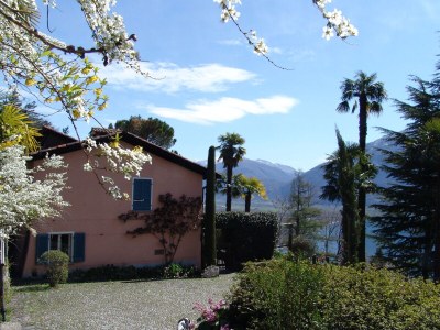 Holiday apartment Mimosa in a natural paradise above Lake Maggiore - Environment photo 17