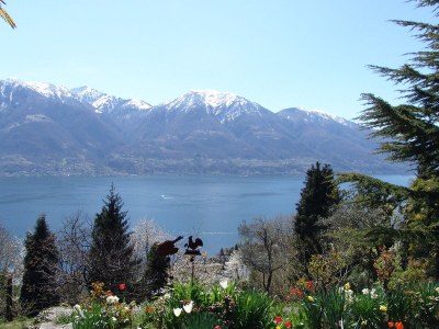 Holiday apartment Mimosa in a natural paradise above Lake Maggiore - Environment photo 18