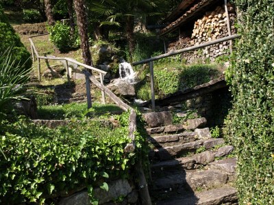 Holiday apartment Mimosa in a natural paradise above Lake Maggiore - Environment photo 21