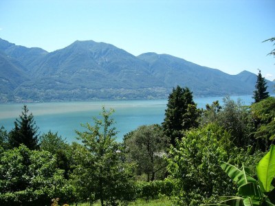 Holiday apartment Mimosa in a natural paradise above Lake Maggiore - Environment photo 22