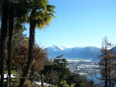 Holiday apartment Mimosa in a natural paradise above Lake Maggiore - Environment photo 23