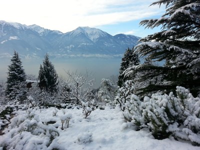 Holiday apartment Mimosa in a natural paradise above Lake Maggiore - Environment photo 25