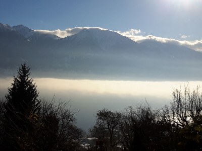 Holiday apartment Mimosa in a natural paradise above Lake Maggiore - Environment photo 26