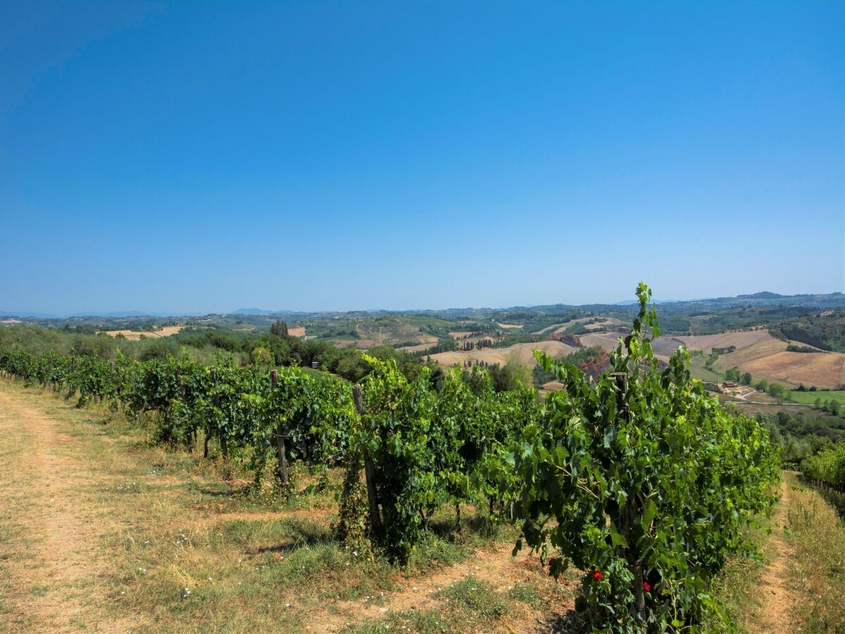 Farmhouse Bauernhaus in Castelfiorentino mit Pool - Outdoor photo 4