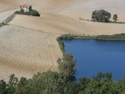 Farmhouse Bauernhaus in Castelfiorentino mit Pool - Outdoor photo 6