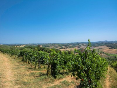 Farmhouse Zufluchtsort in der Nähe von San Gimignano - Outdoor photo 23