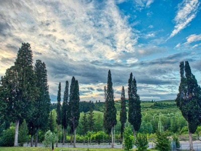 Farmhouse Zufluchtsort in der Nähe von San Gimignano - Environment photo 31