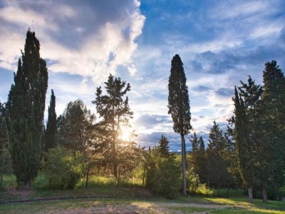 Farmhouse Zufluchtsort in der Nähe von San Gimignano - Environment photo 32