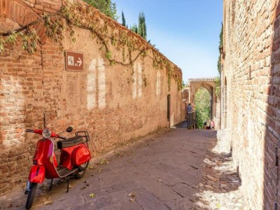 Farmhouse Zufluchtsort in der Nähe von San Gimignano - Environment photo 33
