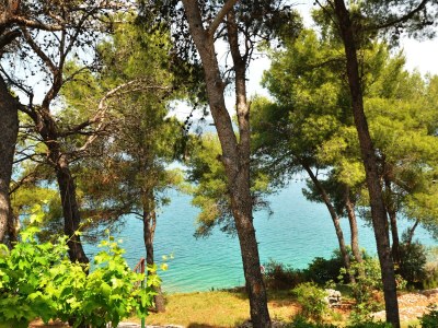 Apartment Tojcic - A1 SUN - Environment photo 24