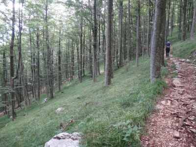 Holiday house Lisac - Environment photo 37