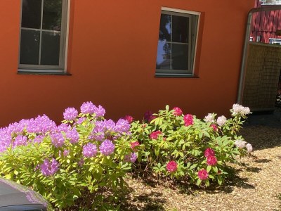 Holiday house at the Dike in Prerow on the Baltic Sea - Outdoor photo 9