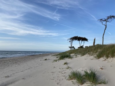 Holiday house at the Dike in Prerow on the Baltic Sea - Environment photo 32