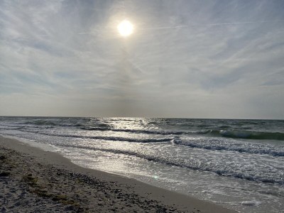 Holiday house at the Dike in Prerow on the Baltic Sea - Environment photo 33