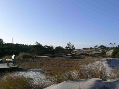Holiday house at the Dike in Prerow on the Baltic Sea - Environment photo 35