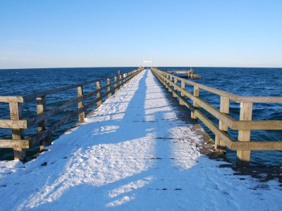Holiday house at the Dike in Prerow on the Baltic Sea - Environment photo 39