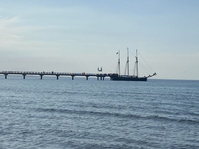 Holiday house at the Dike in Prerow on the Baltic Sea - Environment photo 40