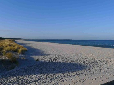 Holiday house at the Dike in Prerow on the Baltic Sea - Document photo 43