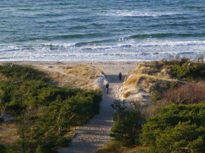 Holiday house at the Dike in Prerow on the Baltic Sea - Document photo 44