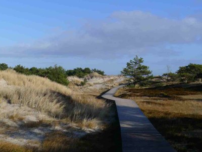 Holiday house at the Dike in Prerow on the Baltic Sea - Document photo 45