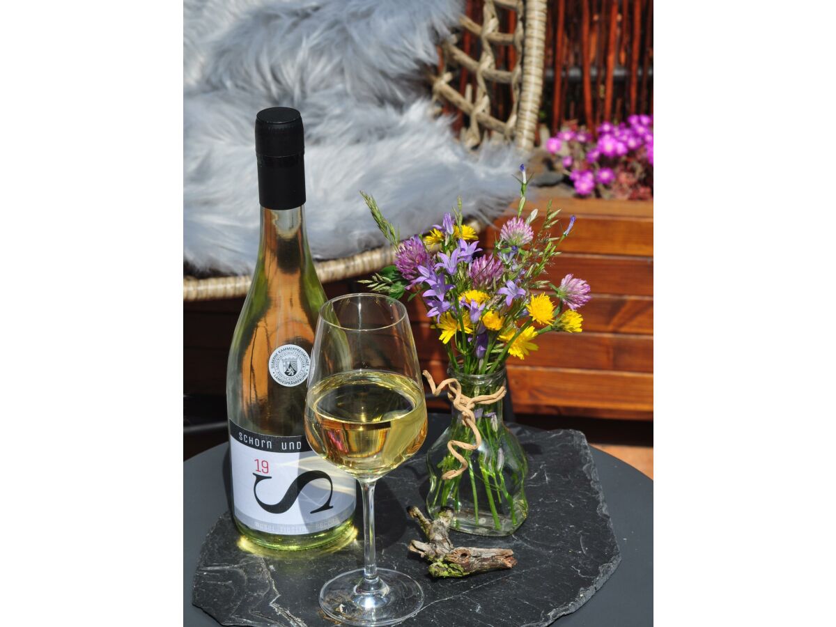 Apartment Appartement "Weisserberg" - Outdoor photo 2