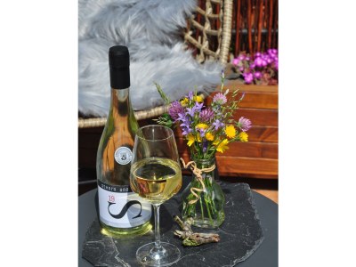 Apartment Appartement "Weisserberg" - Features photo 13