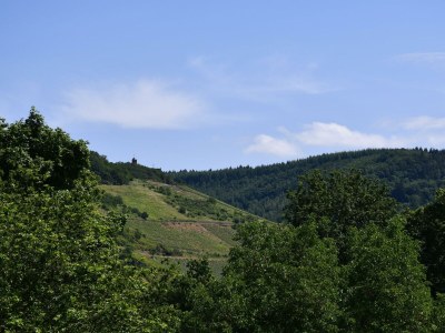 Apartment Appartement "Weisserberg" - Features photo 21