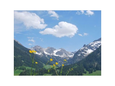 Holiday room Doppelzimmer "5" mit DU/WC in Mittelberg - Holiday room