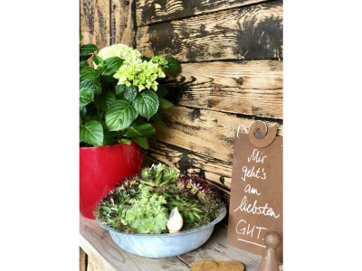 Holiday room Familienzimmer, Dusche oder Bad, WC, 2 Schlafräume - Outdoor photo 15